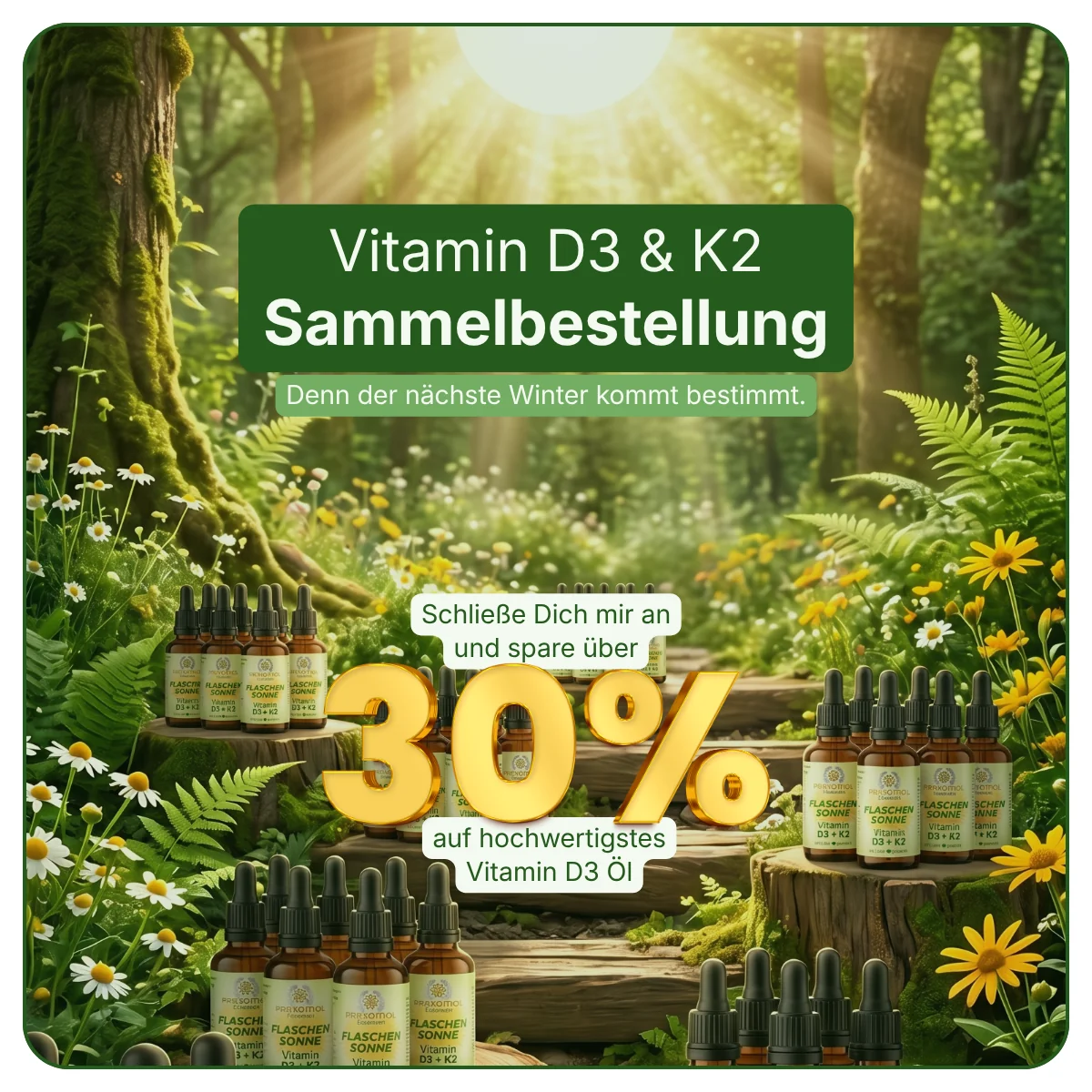 2026-08 FlaschenSonne Sammelbestellung Bild